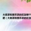大麦茶和苦荞茶的区别哪个适合减肥（大麦茶和苦荞茶的区别）