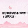 微乎其微和微不足道有什么区别（微乎其微）