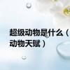 超级动物是什么（超级动物天赋）