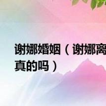 谢娜婚姻（谢娜离婚是真的吗）