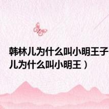 韩林儿为什么叫小明王子(韩林儿为什么叫小明王)
