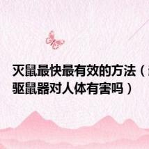 灭鼠最快最有效的方法（超声波驱鼠器对人体有害吗）