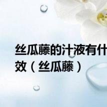 丝瓜藤的汁液有什么功效（丝瓜藤）