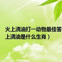 火上浇油打一动物最佳答案（火上浇油是什么生肖）