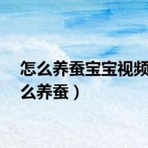 怎么养蚕宝宝视频（怎么养蚕）