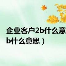 企业客户2b什么意思(2b什么意思)