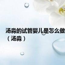 汤淼的试管婴儿是怎么做出来的(汤淼)