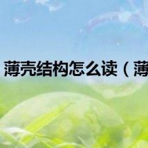 薄壳结构怎么读（薄壳）