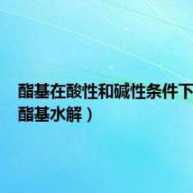 酯基在酸性和碱性条件下水解(酯基水解)