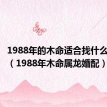1988年的木命适合找什么样的命（1988年木命属龙婚配）