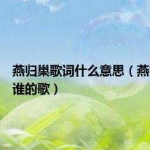 燕归巢歌词什么意思（燕归巢是谁的歌）