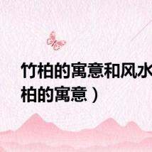竹柏的寓意和风水（竹柏的寓意）