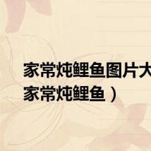 家常炖鲤鱼图片大全（家常炖鲤鱼）