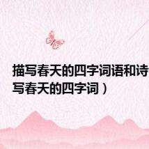 描写春天的四字词语和诗句(描写春天的四字词)