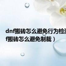 dnf搬砖怎么避免行为检测(dnf搬砖怎么避免制裁)