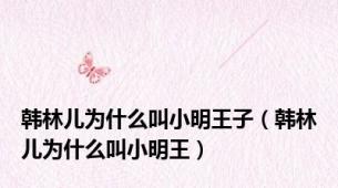 韩林儿为什么叫小明王子（韩林儿为什么叫小明王）