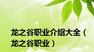 龙之谷职业介绍大全（龙之谷职业）