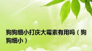 狗狗细小打庆大霉素有用吗（狗狗细小）