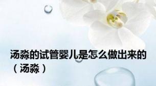 汤淼的试管婴儿是怎么做出来的（汤淼）