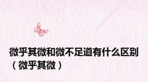 微乎其微和微不足道有什么区别（微乎其微）
