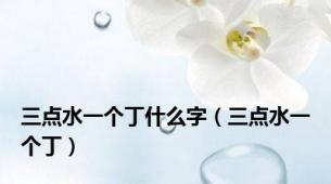 三点水一个丁什么字（三点水一个丁）