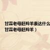 甘霖老母赶羚羊表达什么意思（甘霖老母赶羚羊）