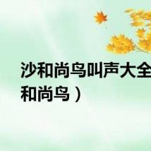沙和尚鸟叫声大全（沙和尚鸟）
