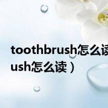 toothbrush怎么读(brush怎么读)