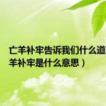亡羊补牢告诉我们什么道理(亡羊补牢是什么意思)