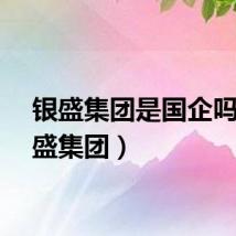银盛集团是国企吗（银盛集团）