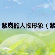 紫岚的人物形象（紫岚）