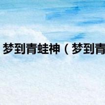 梦到青蛙神（梦到青蛙）