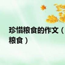 珍惜粮食的作文（珍惜粮食）