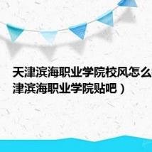 天津滨海职业学院校风怎么样(天津滨海职业学院贴吧)