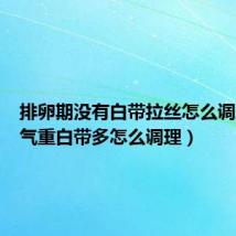 排卵期没有白带拉丝怎么调理(湿气重白带多怎么调理)