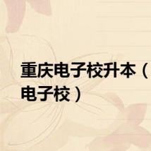 重庆电子校升本（重庆电子校）