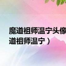 魔道祖师温宁头像（魔道祖师温宁）