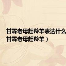 甘霖老母赶羚羊表达什么意思（甘霖老母赶羚羊）