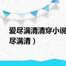 爱尽满清清穿小说（爱尽满清）