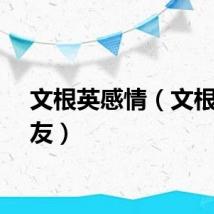 文根英感情（文根英男友）