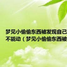 梦见小偷偷东西被发现自己怎么都不能动（梦见小偷偷东西被发现）