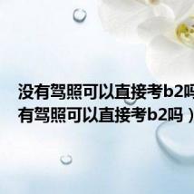 没有驾照可以直接考b2吗?(没有驾照可以直接考b2吗)