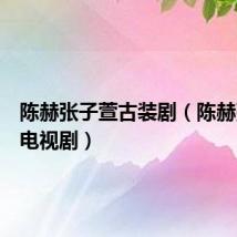 陈赫张子萱古装剧（陈赫张子萱电视剧）