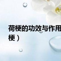 荷梗的功效与作用（荷梗）