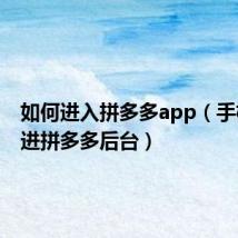 如何进入拼多多app（手机怎么进拼多多后台）