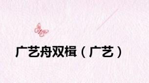 广艺舟双楫（广艺）