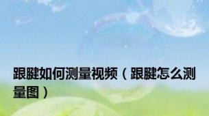 跟腱如何测量视频（跟腱怎么测量图）