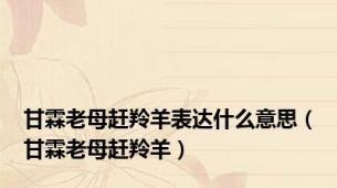 甘霖老母赶羚羊表达什么意思（甘霖老母赶羚羊）