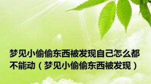 梦见小偷偷东西被发现自己怎么都不能动（梦见小偷偷东西被发现）