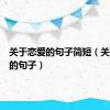 关于恋爱的句子简短（关于恋爱的句子）